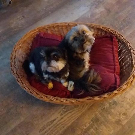 Betty'S Tiny House Bed & Breakfast Wieringerwerf Luaran gambar